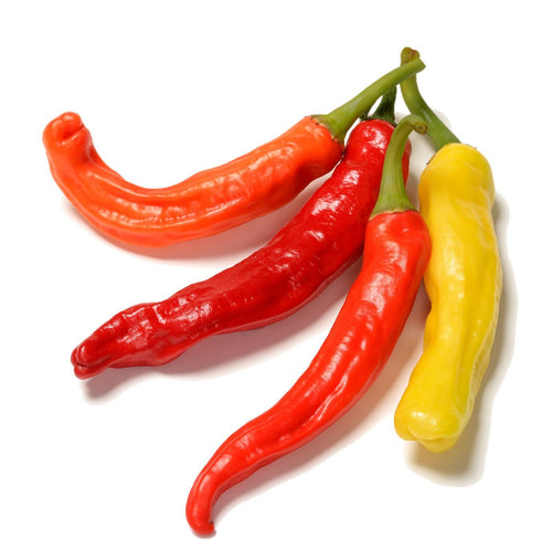 The Living Seed Company Charleston Hot Pepper Seeds - Capsicum annuum