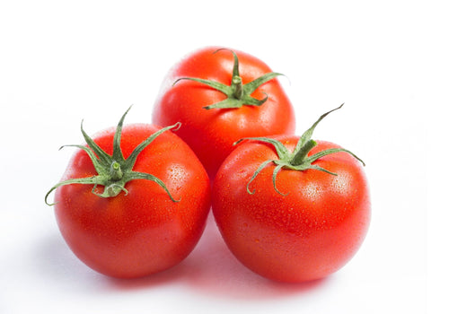 The Living Seed Company Organic Moskvich Tomato Seeds - Lycopersicon lycopersicum