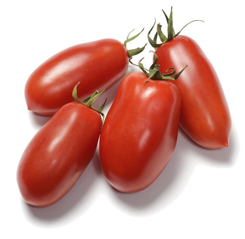 The Living Seed Company Organic San Marzano Tomato Seeds - Lycopersicon lycopersicum