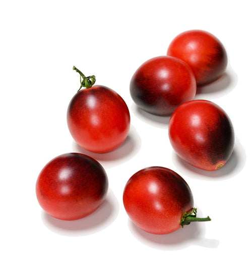 The Living Seed Company Cosmic Jewel Tomato Seeds -Solanum lycopersicum