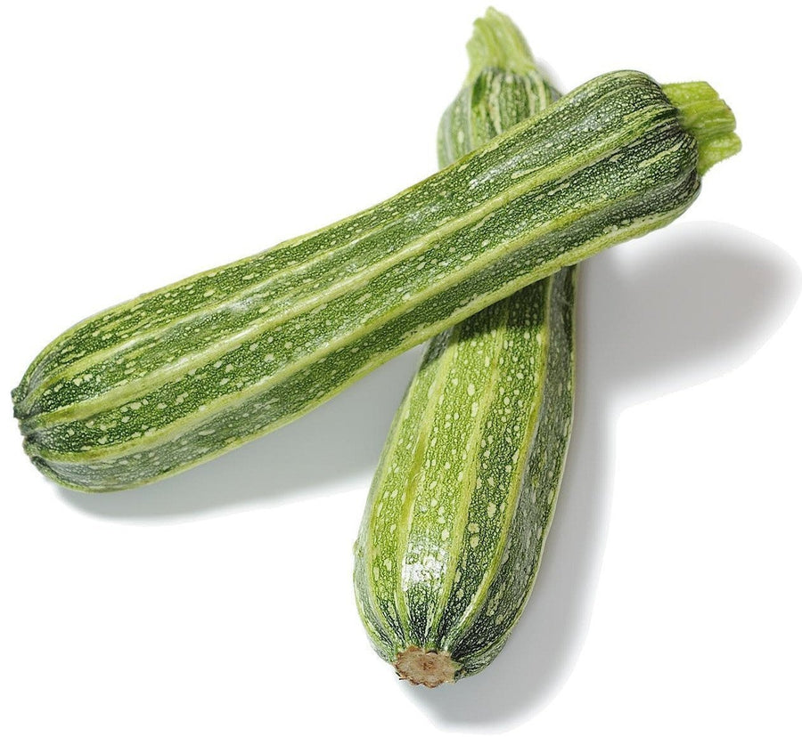 The Living Seed Company Costata Romanesco Zucchini Seeds - Curcurbita pepo