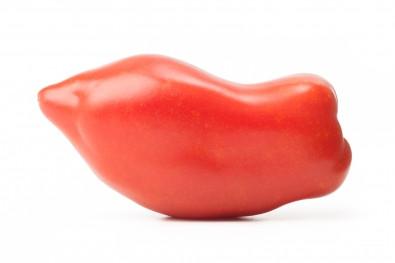 The Living Seed Company Federle Tomato Seeds - Solanum lycopersicum