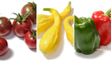 The Living Seed Company Organic Founders Collection, view 2
