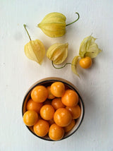 The Living Seed Company Golden Berry Seeds - Physalis peruviana, view 2