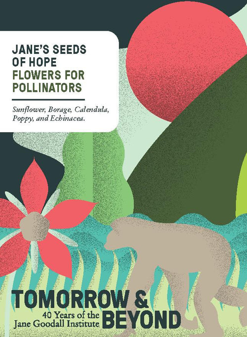 The Living Seed Company Organic Jane Goodall's Seeds of Hope
