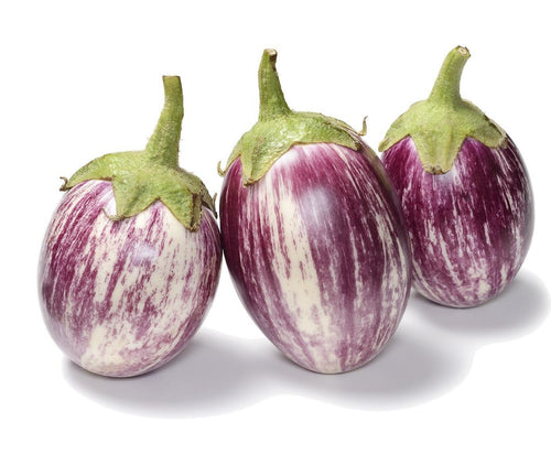 The Living Seed Company Organic Listada De Gandia Eggplant Seeds - Solanum melongena