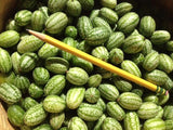 The Living Seed Company Mexican Sour Gherkin Seeds - Melothria scabra, view 2