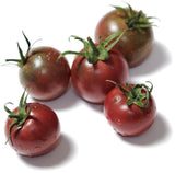 The Living Seed Company Organic Northern Collection, view 2