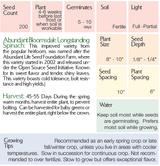 The Living Seed Company Organic Abundant Bloomsdale Spinach - Spinacia oleracea, view 2