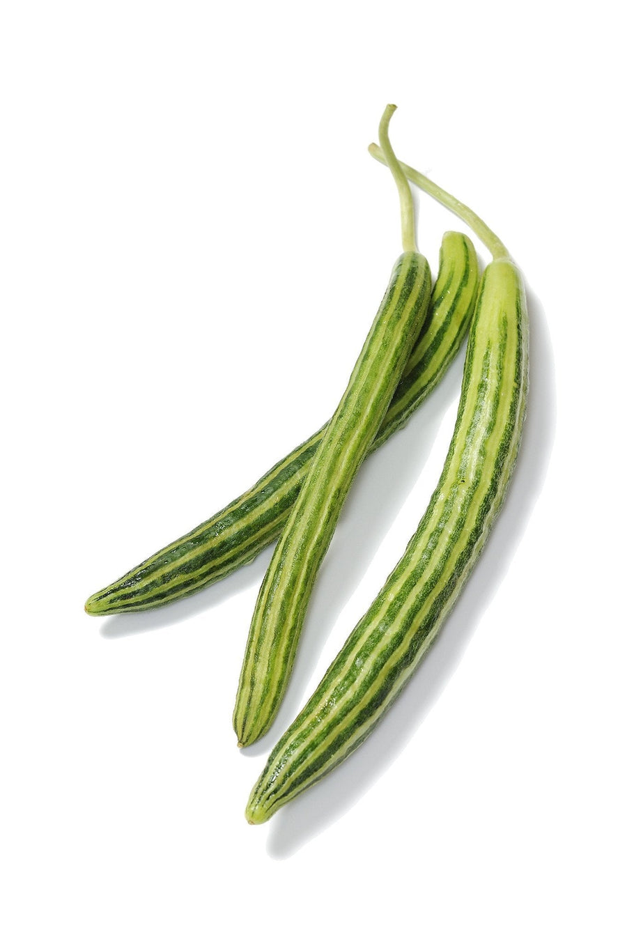 The Living Seed Company Organic Striped Armenian Cucumber Seeds - Cucumis melo