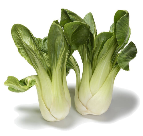 The Living Seed Company Organic Baby Bok Choy Seeds - Brassica rapa