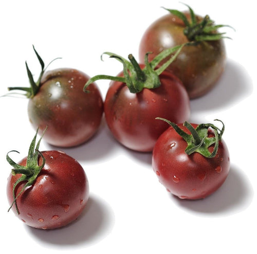 The Living Seed Company Organic Black Cherry Tomato Seeds - Lycopersicon lycopersicum