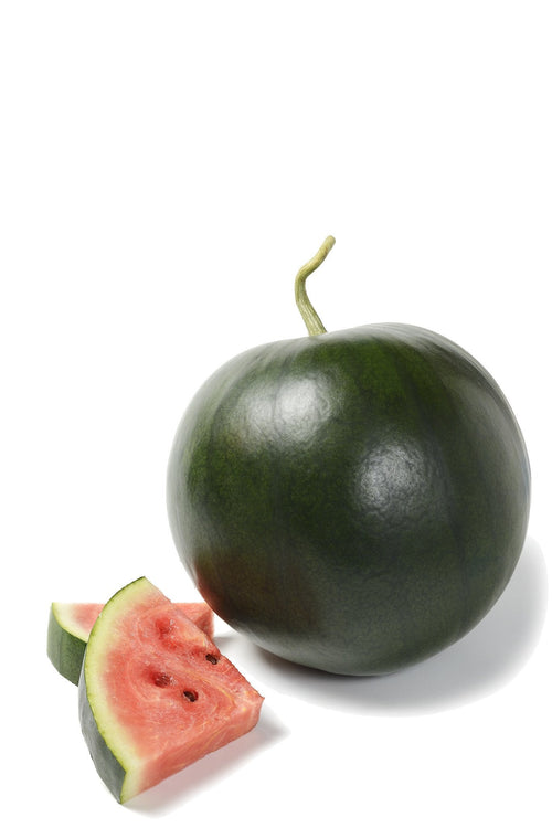 The Living Seed Company Organic Blacktail Watermelon Seeds - Citrullus lanatus