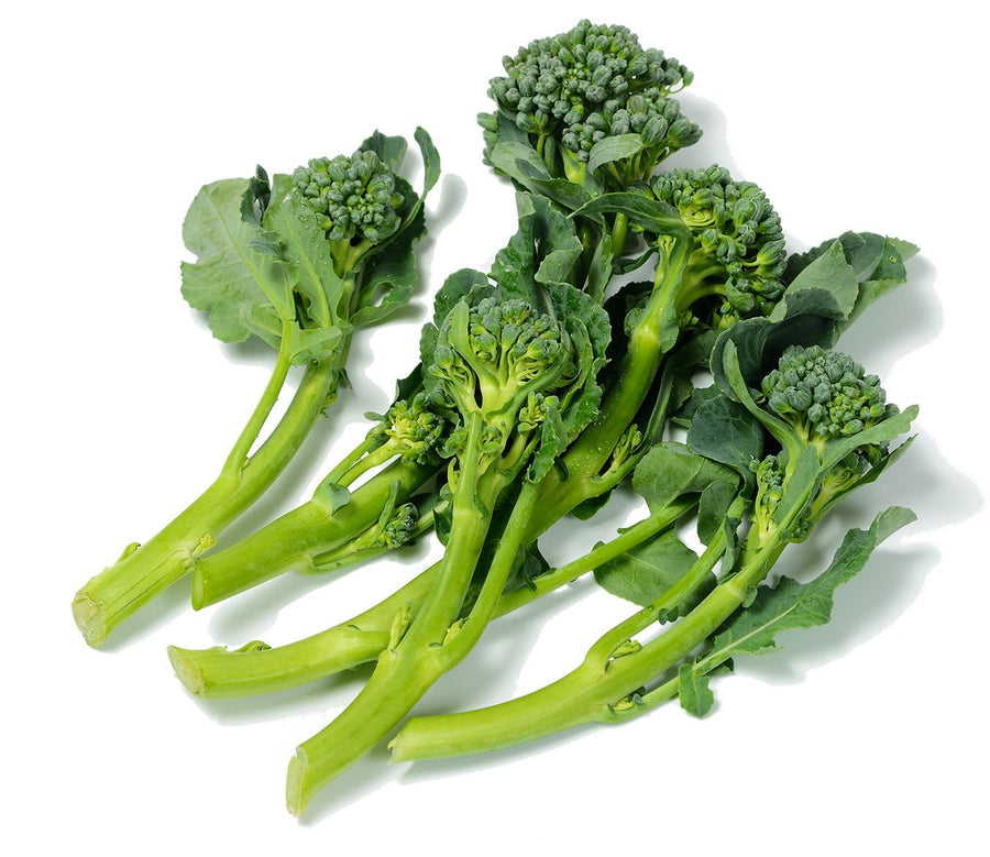 The Living Seed Company Organic Calabrese Broccoli Seeds - Brassica oleracea
