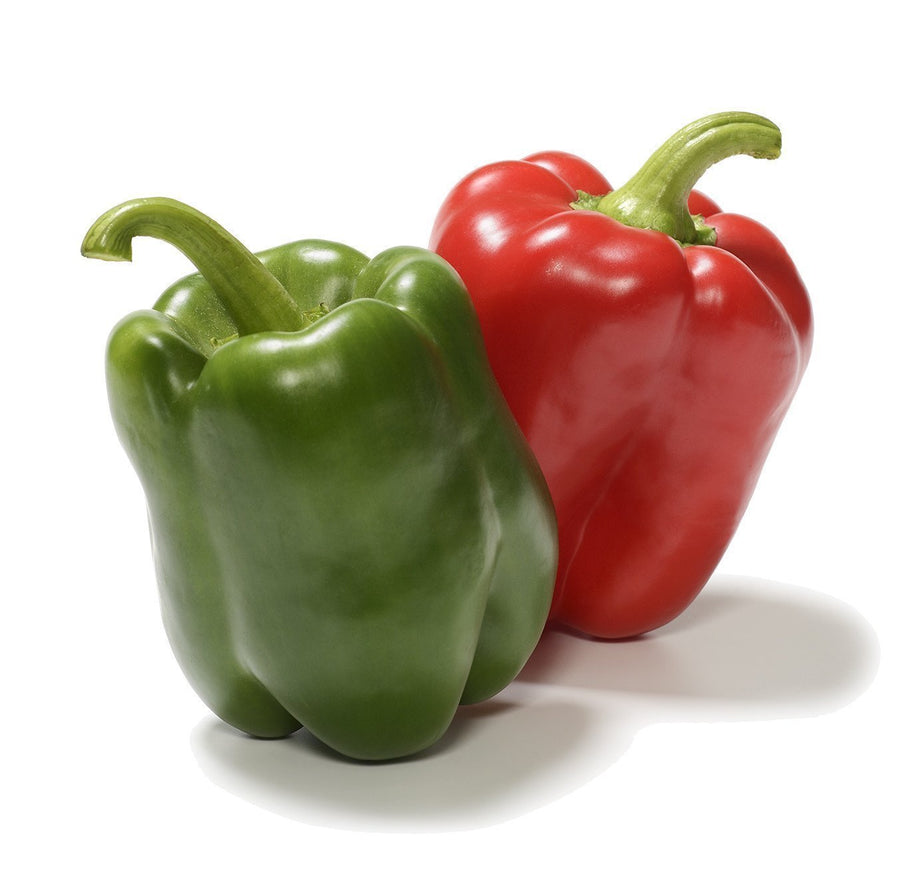 The Living Seed Company Organic California Wonder Sweet Pepper Seeds - Capsicum annuum