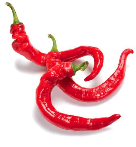 The Living Seed Company Organic Cayenne Hot Pepper Seeds - Capsicum annuum