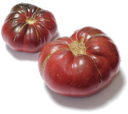 The Living Seed Company Organic Cherokee Purple Tomato Seeds - Lycopersicon lycopersicum