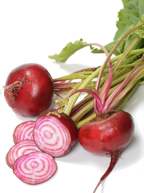 The Living Seed Company Organic Chioggia Beet Seeds - Beta vulgaris