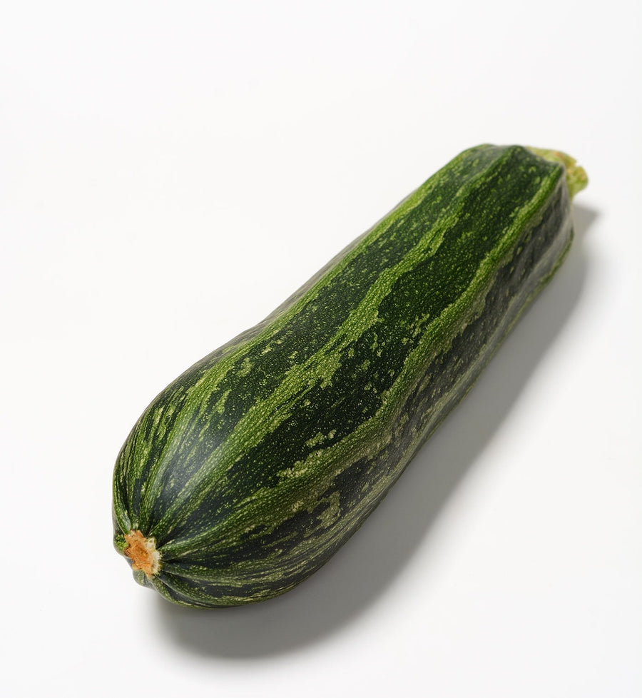 The Living Seed Company Organic Cocozelle Summer Zucchini Seeds - Cucurbita pepo