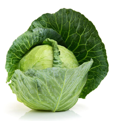 The Living Seed Company Copenhagen Market Cabbage Seeds - Brassica oleracea