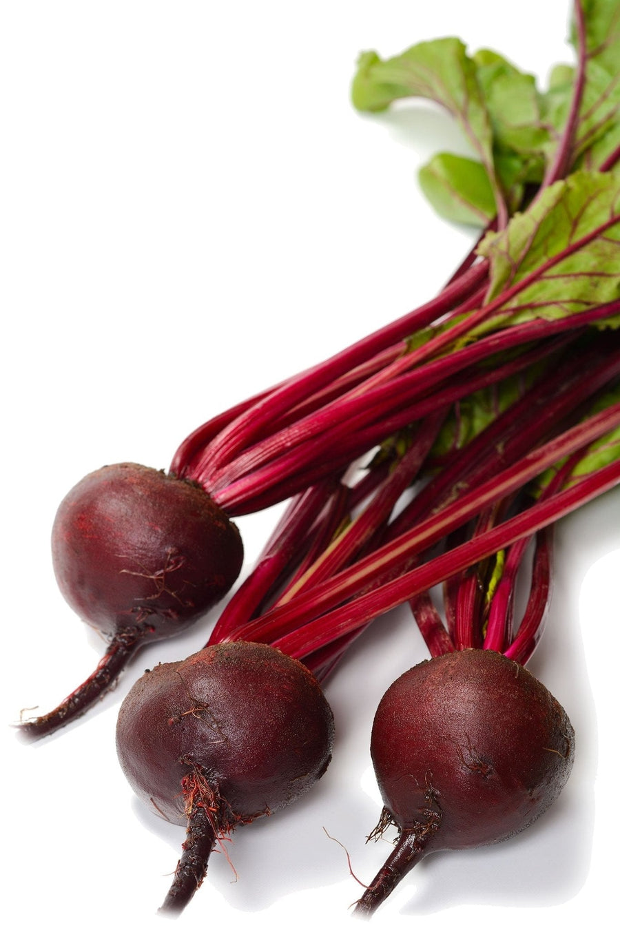 The Living Seed Company Organic Detroit Dark Red Beet Seeds - Beta vulgaris