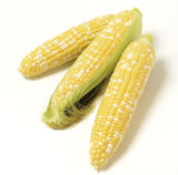 The Living Seed Company Organic Double Standard Corn Seeds - Zea mays, view 2
