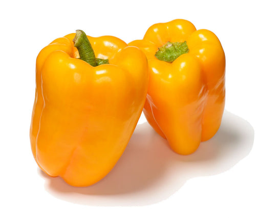 The Living Seed Company Organic Golden California Wonder Sweet Pepper Seeds - Capsicum annuum