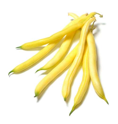 The Living Seed Company Organic Golden Wax Bean Seeds - Phaseolus vulgaris
