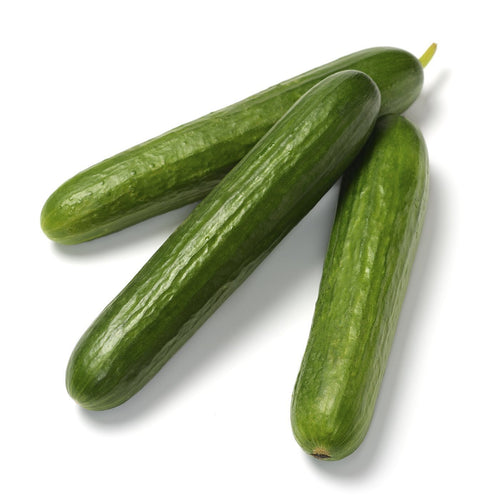 The Living Seed Company Organic Green Finger Cucumber Seeds - Cucumis sativas