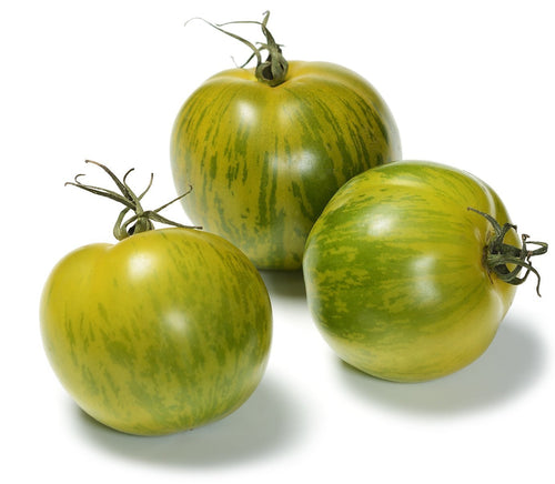 The Living Seed Company Organic Green Zebra Tomato Seeds - Lycopersicon lycopersicum