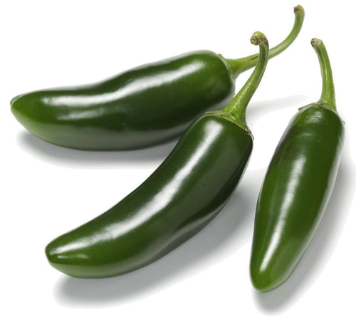 The Living Seed Company Organic Jalapeño Hot Pepper Seeds - Capsicum annuum