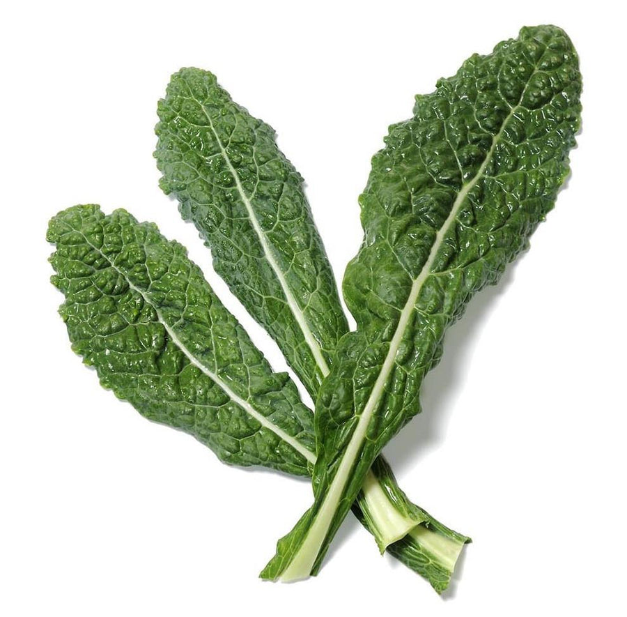 The Living Seed Company Organic Lacinato Kale Seeds - Brassica oleracea