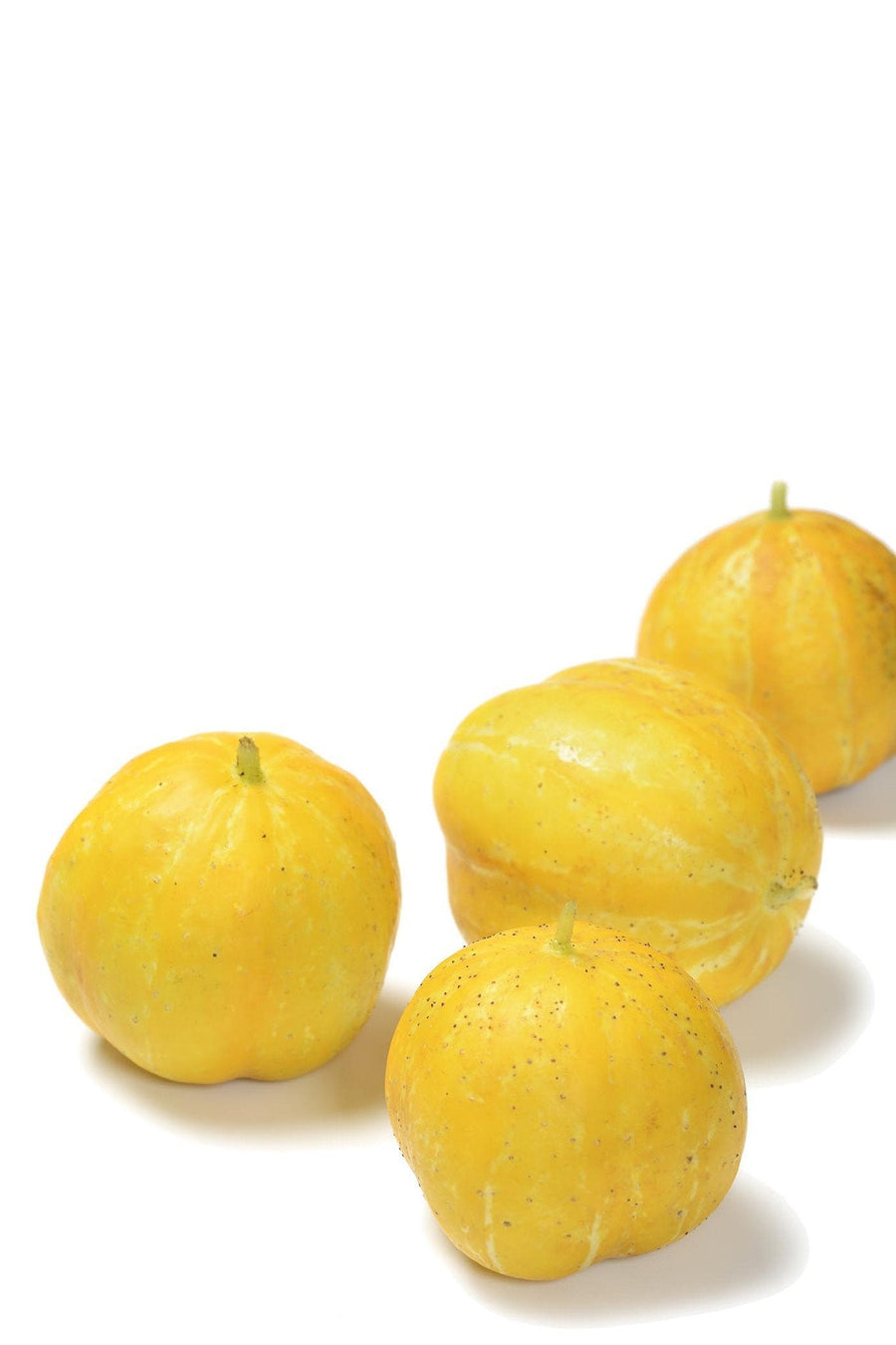 The Living Seed Company Organic Lemon Cucumber Seeds- Cucumis sativus