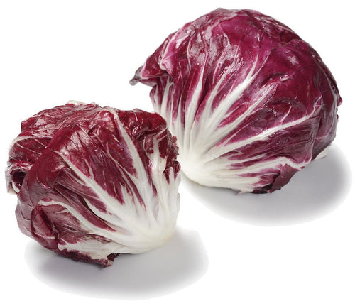 The Living Seed Company Organic Palla Rossa Radicchio Seeds - Chicorium intybus
