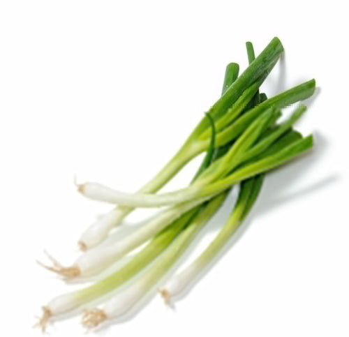 The Living Seed Company Organic Parade Bunching Onion Seeds - Allium fistulosum