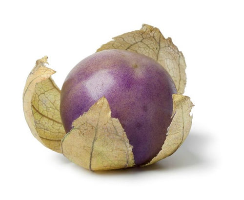 The Living Seed Company Organic Purple Tomatillo Seeds - Physalis philadelphica