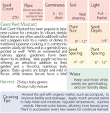 The Living Seed Company Organic Red Giant Mustard Seeds - Brassica juncea, view 2
