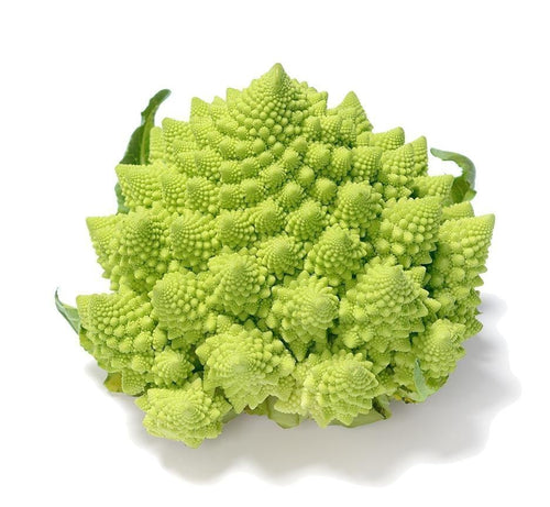The Living Seed Company Organic Romanesco Broccoli Seeds - Brassica oleracea