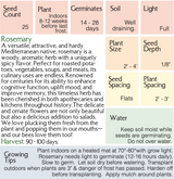 The Living Seed Company Organic Rosemary Seeds - Rosmarinus officinalis, view 2