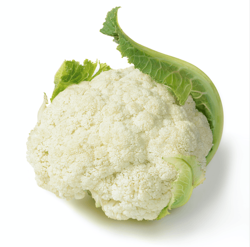 The Living Seed Company Organic Snowball Cauliflower Seeds - Brassica oleracea