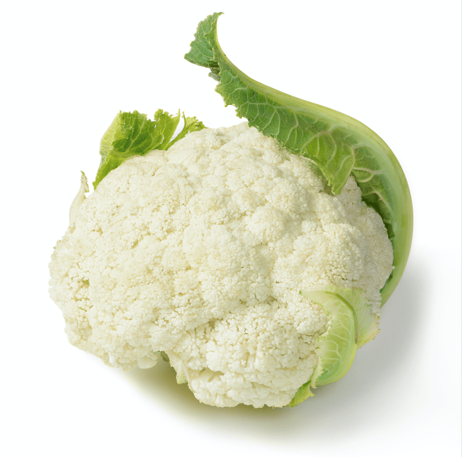 The Living Seed Company Organic Snowball Cauliflower Seeds - Brassica oleracea