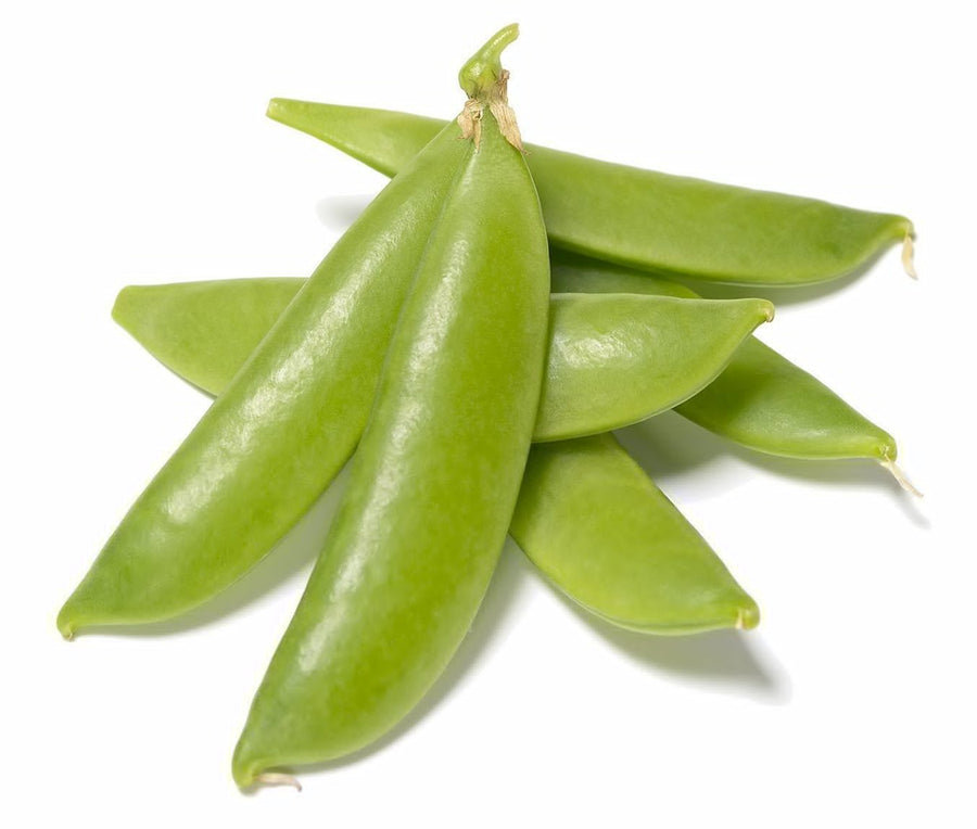 The Living Seed Company Organic Sugar Snap Pea Seeds - Pisum sativum