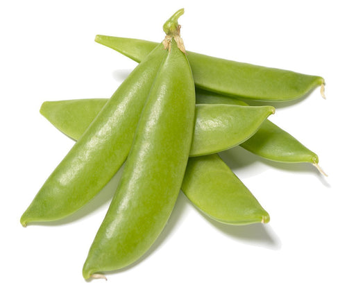 The Living Seed Company Organic Sugar Daddy Snap Pea Seeds - Pisum sativum