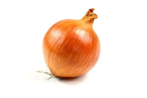 The Living Seed Company Organic Valencia Onion Seeds - Allium cepa