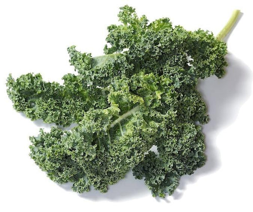 The Living Seed Company Organic Vate's Dwarf Blue Kale Seeds - Brassica oleracea
