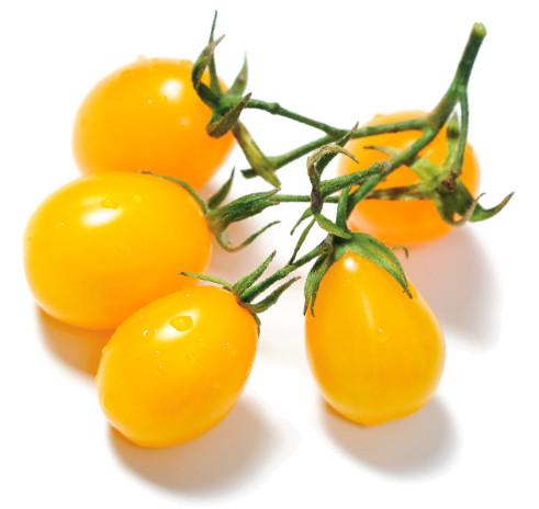 The Living Seed Company Organic Yellow Pear Tomato Seeds - Lycopersicon lycopersicum