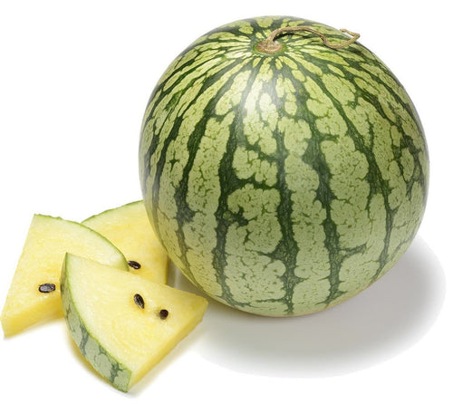 The Living Seed Company Petite Yellow Watermelon Seeds (Citrullus lanatus)