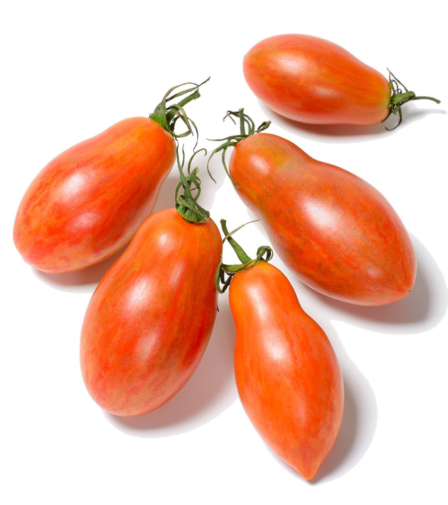 The Living Seed Company Prairie Fire Tomato Seeds - Solanum lycopersicum