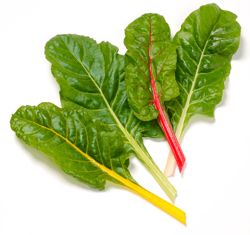 The Living Seed Company Organic Rainbow Swiss Chard Seeds - Beta vulgaris
