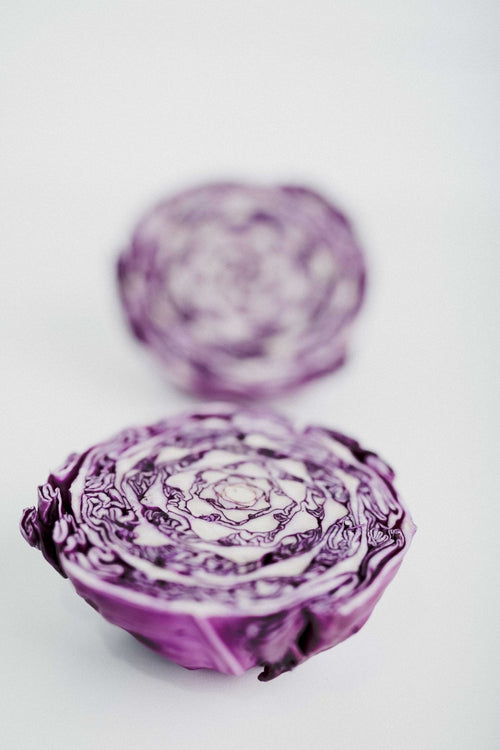 The Living Seed Company Organic Red Express Cabbage Seeds - Brassica oleracea